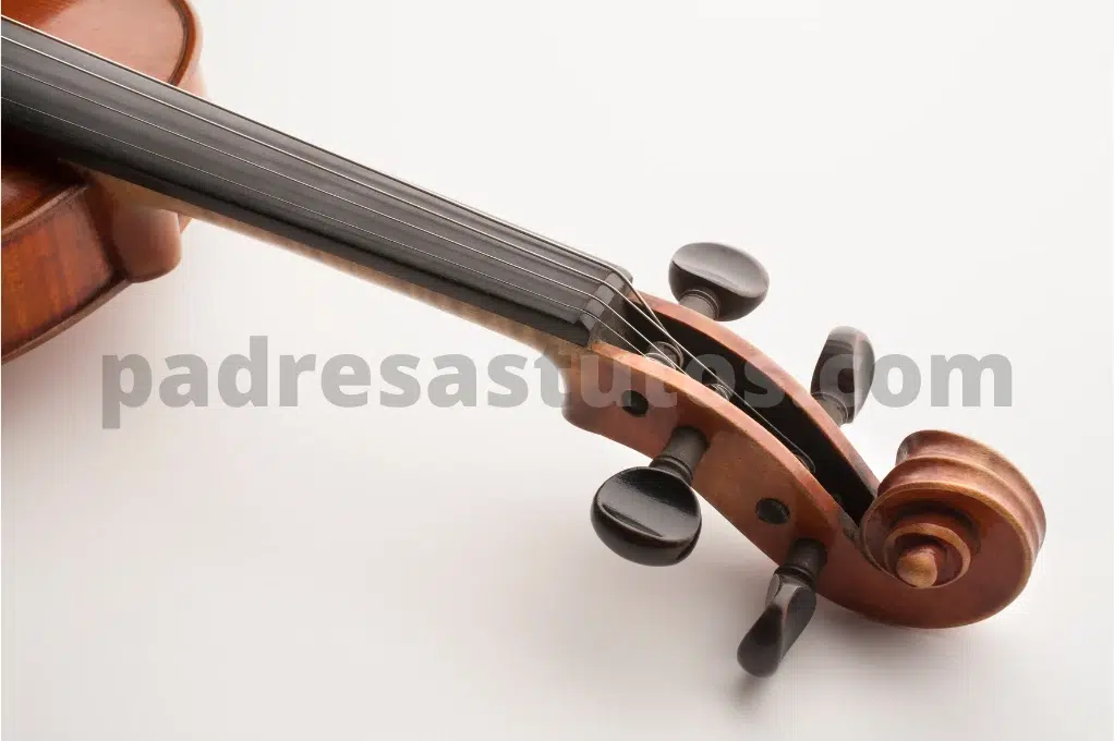 Mástil del violín.