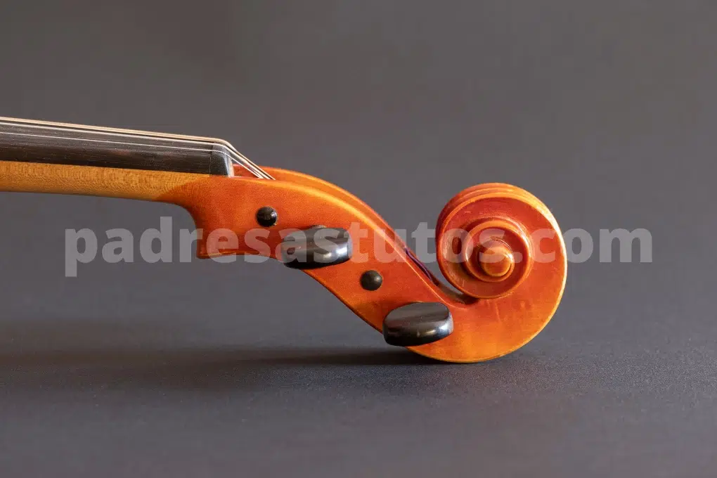 Voluta del violín.